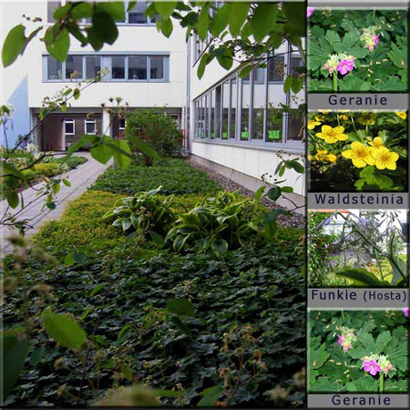 n_n_b_07  Gang links.jpg